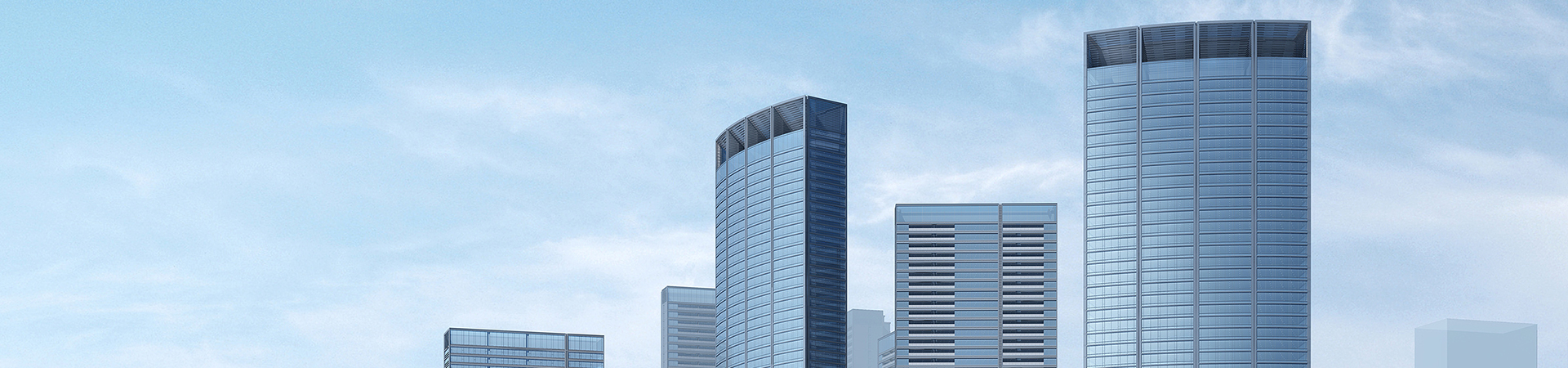 关于新洋